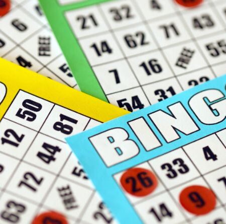 Hur spelar man Bingo på nätet?